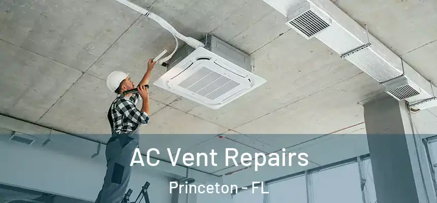  AC Vent Repairs Princeton - FL