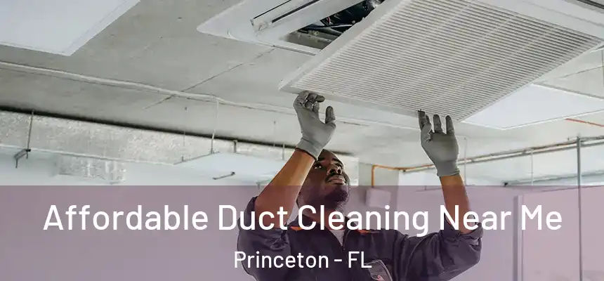  Affordable Duct Cleaning Near Me Princeton - FL