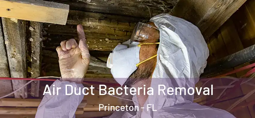  Air Duct Bacteria Removal Princeton - FL