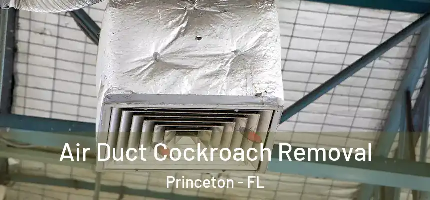  Air Duct Cockroach Removal Princeton - FL