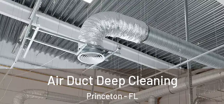  Air Duct Deep Cleaning Princeton - FL