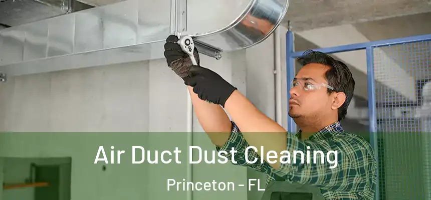  Air Duct Dust Cleaning Princeton - FL