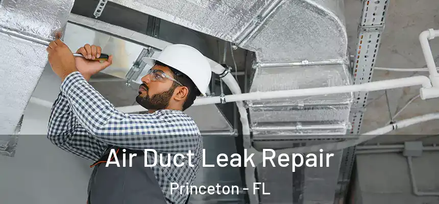  Air Duct Leak Repair Princeton - FL