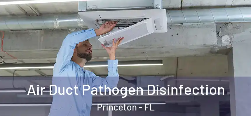  Air Duct Pathogen Disinfection Princeton - FL