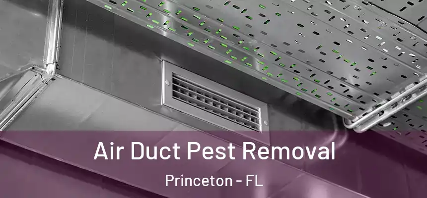  Air Duct Pest Removal Princeton - FL