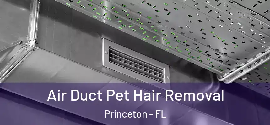  Air Duct Pet Hair Removal Princeton - FL
