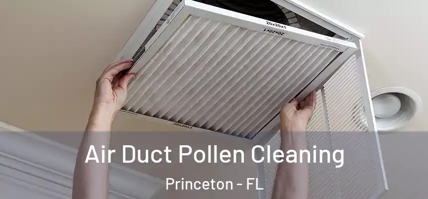  Air Duct Pollen Cleaning Princeton - FL