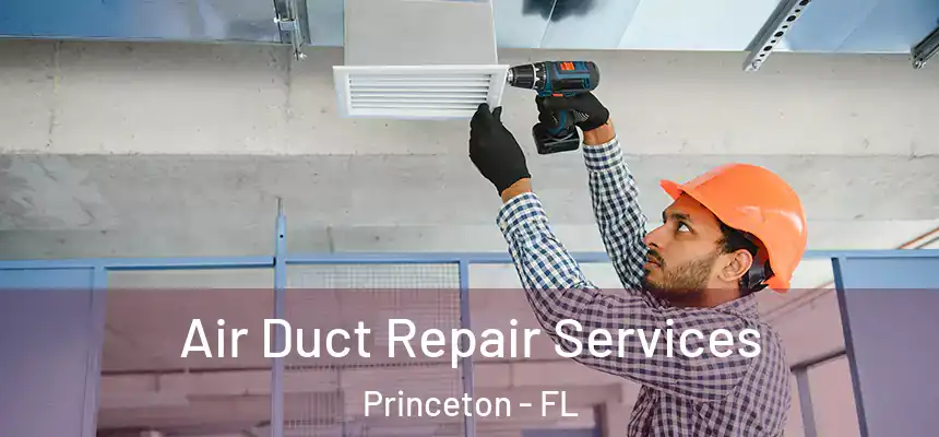  Air Duct Repair Services Princeton - FL