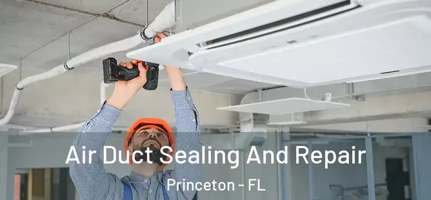 Air Duct Sealing And Repair Princeton - FL