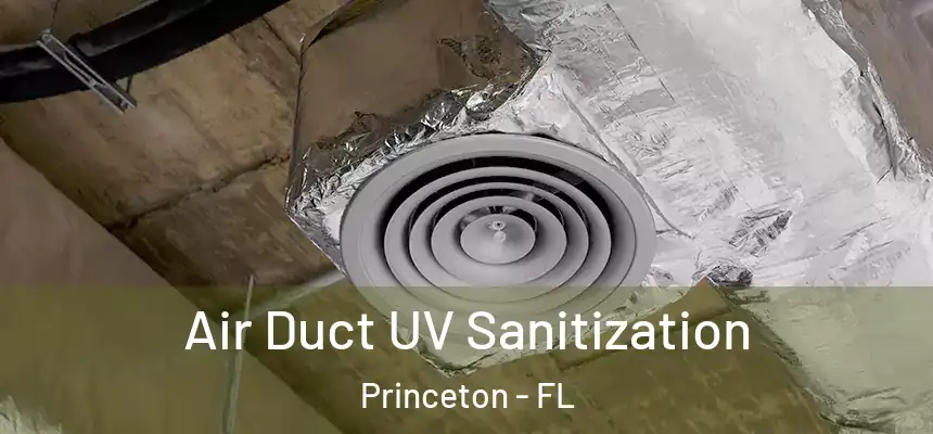  Air Duct UV Sanitization Princeton - FL