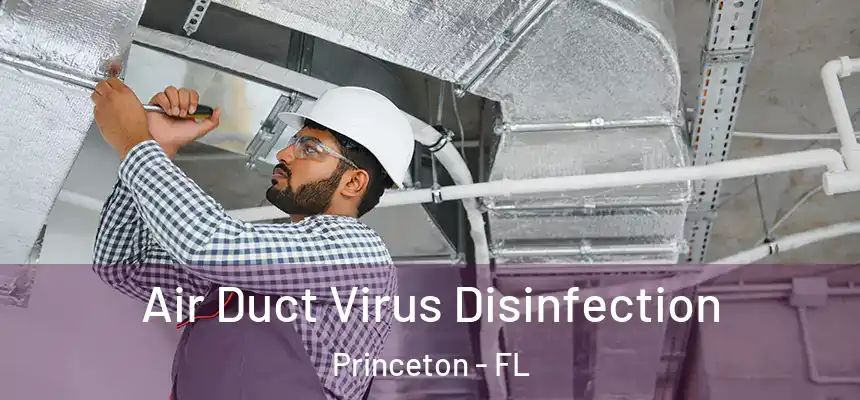  Air Duct Virus Disinfection Princeton - FL