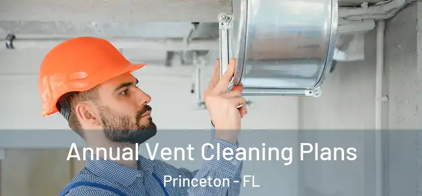  Annual Vent Cleaning Plans Princeton - FL