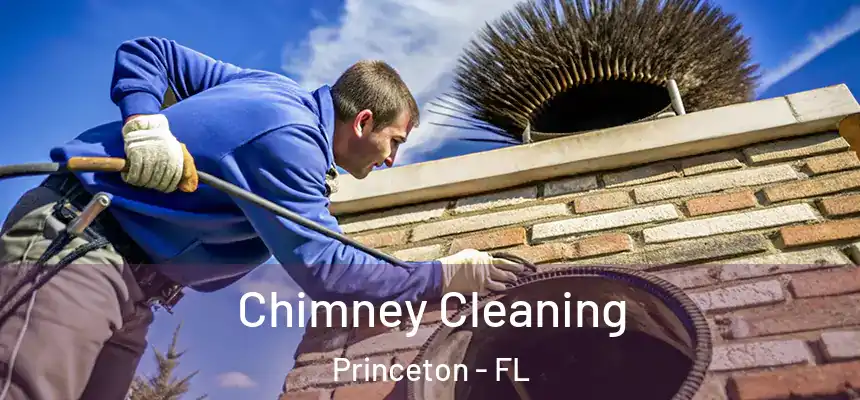  Chimney Cleaning Princeton - FL