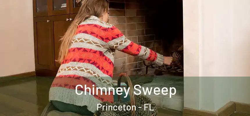  Chimney Sweep Princeton - FL