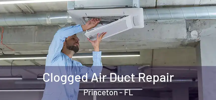  Clogged Air Duct Repair Princeton - FL