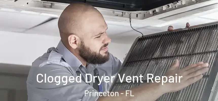  Clogged Dryer Vent Repair Princeton - FL