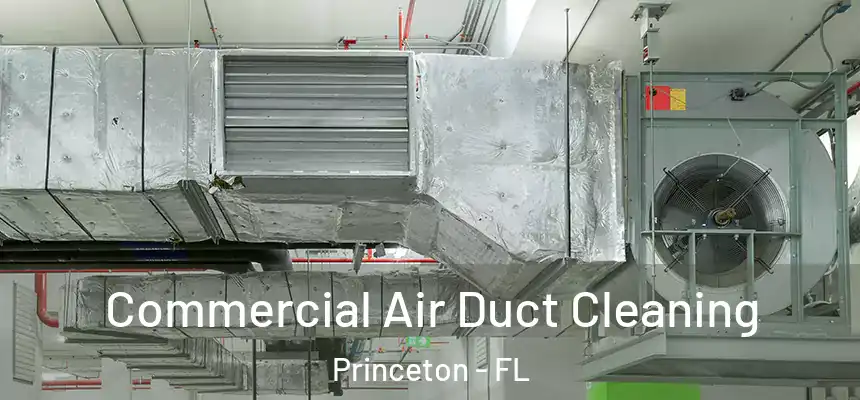  Commercial Air Duct Cleaning Princeton - FL