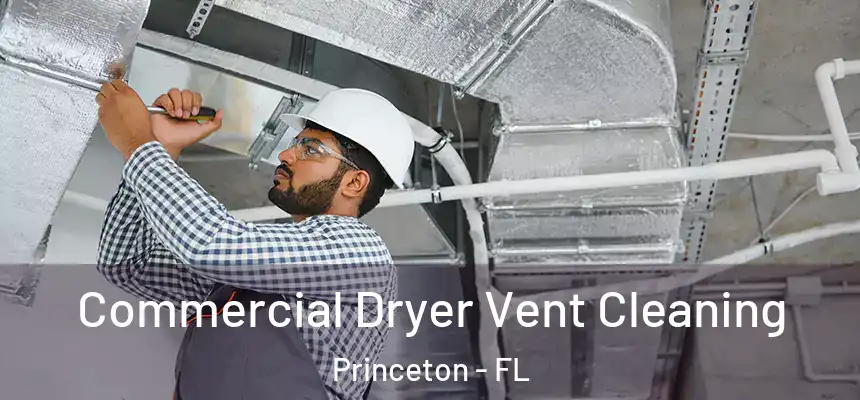  Commercial Dryer Vent Cleaning Princeton - FL