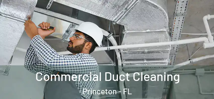  Commercial Duct Cleaning Princeton - FL