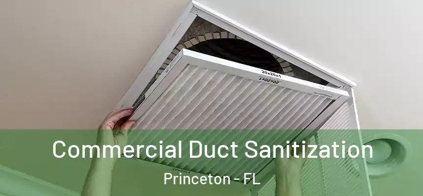  Commercial Duct Sanitization Princeton - FL