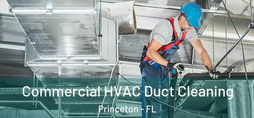  Commercial HVAC Duct Cleaning Princeton - FL