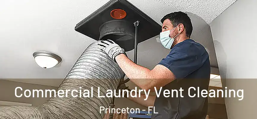  Commercial Laundry Vent Cleaning Princeton - FL
