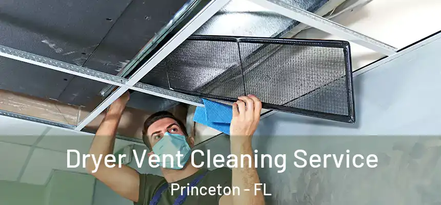  Dryer Vent Cleaning Service Princeton - FL