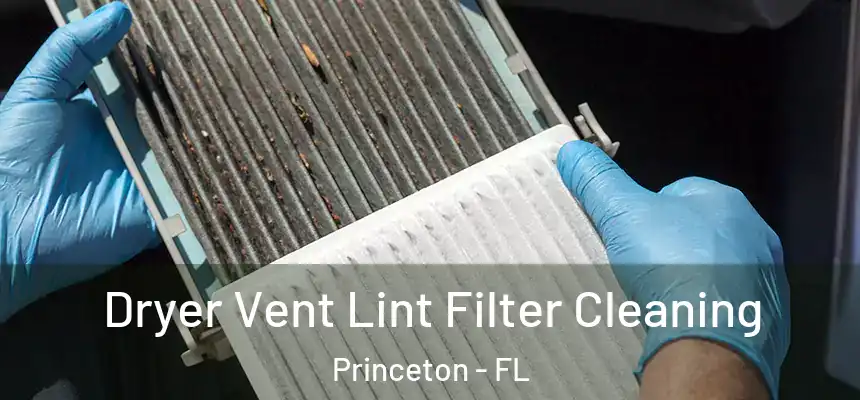  Dryer Vent Lint Filter Cleaning Princeton - FL