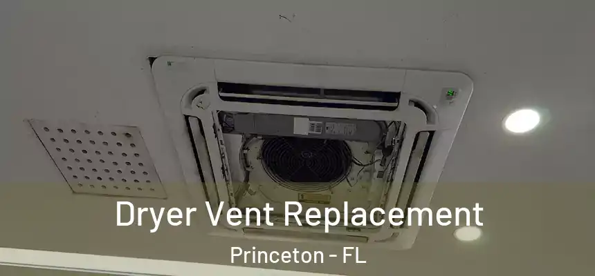  Dryer Vent Replacement Princeton - FL