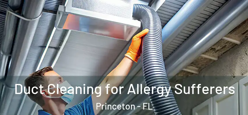  Duct Cleaning for Allergy Sufferers Princeton - FL