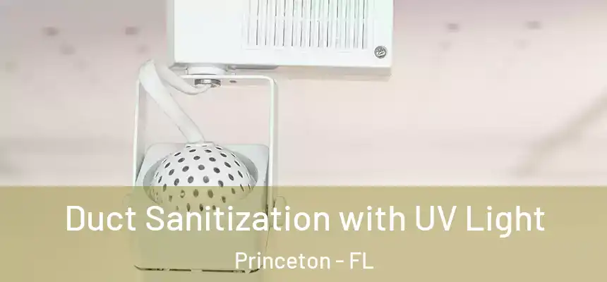  Duct Sanitization with UV Light Princeton - FL