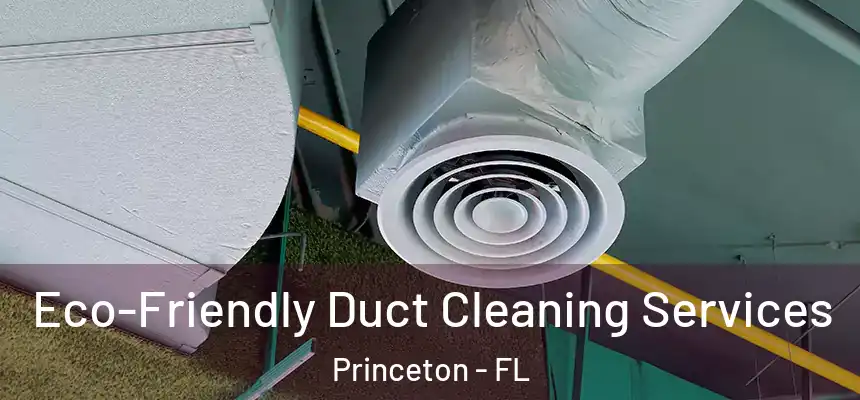  Eco-Friendly Duct Cleaning Services Princeton - FL
