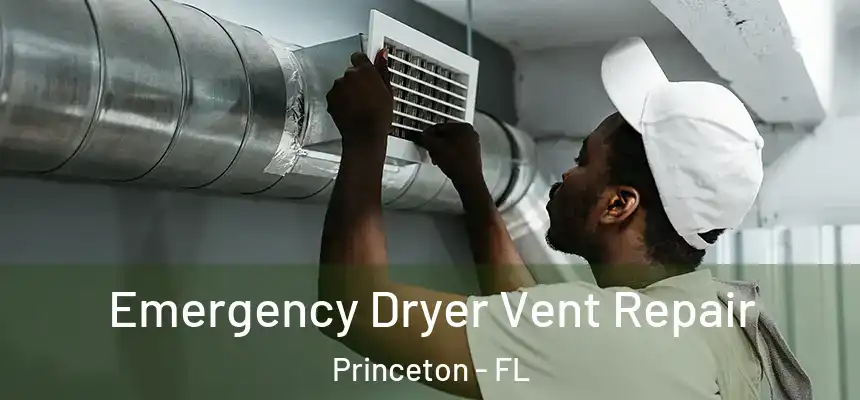  Emergency Dryer Vent Repair Princeton - FL