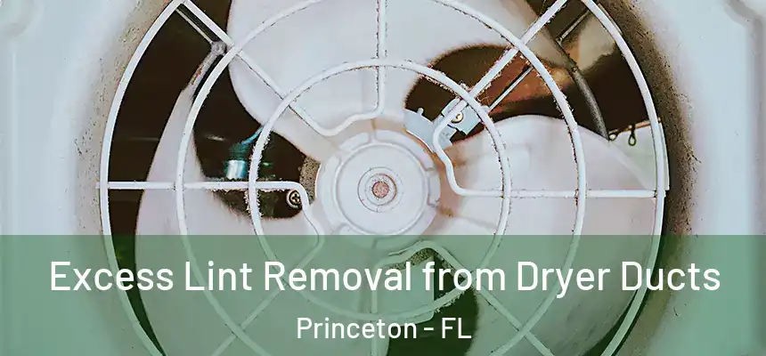  Excess Lint Removal from Dryer Ducts Princeton - FL