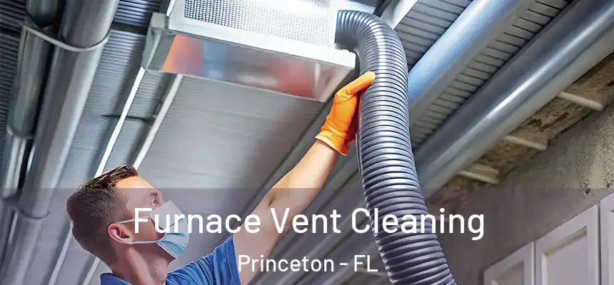  Furnace Vent Cleaning Princeton - FL