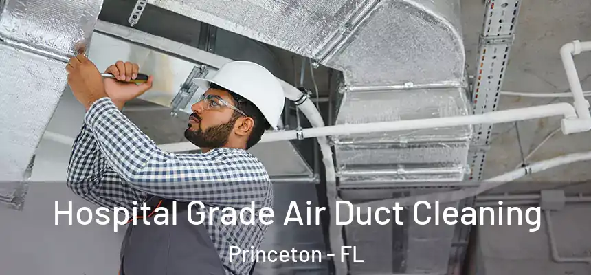  Hospital Grade Air Duct Cleaning Princeton - FL