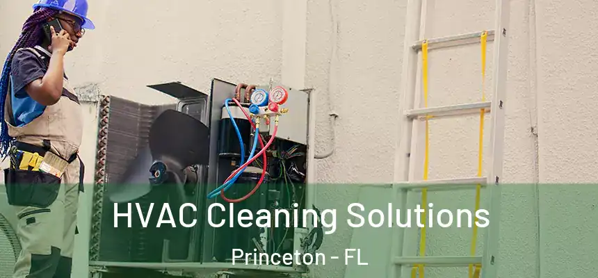  HVAC Cleaning Solutions Princeton - FL
