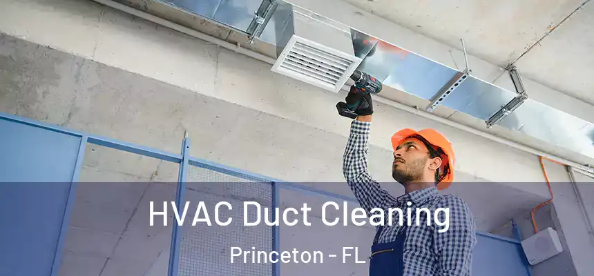  HVAC Duct Cleaning Princeton - FL