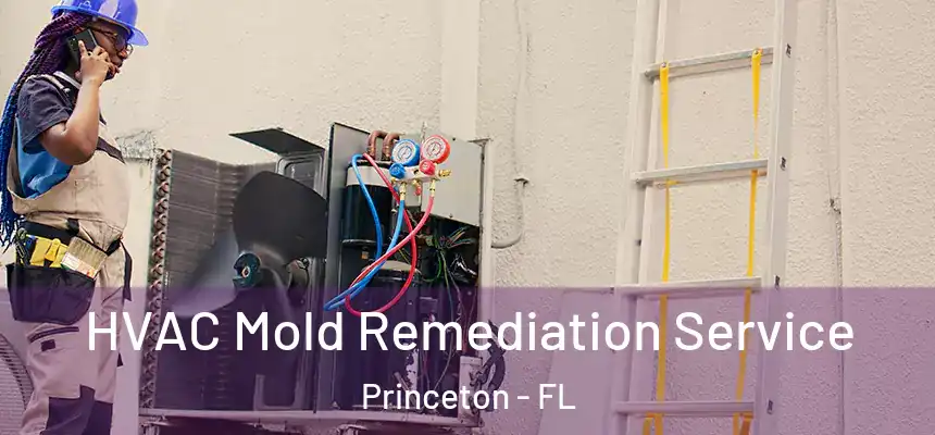  HVAC Mold Remediation Service Princeton - FL