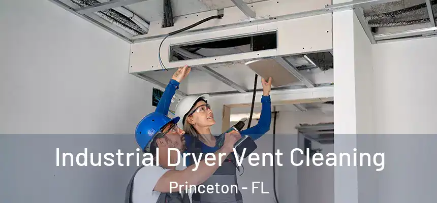  Industrial Dryer Vent Cleaning Princeton - FL