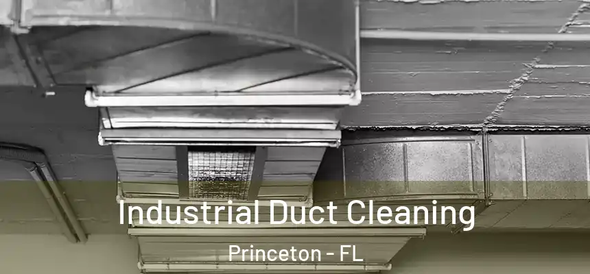  Industrial Duct Cleaning Princeton - FL