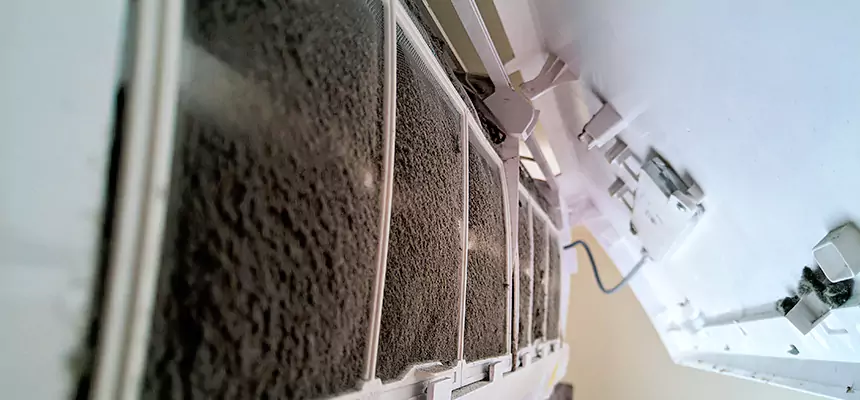 Preventive Air Duct Bacteria Removal in Princeton