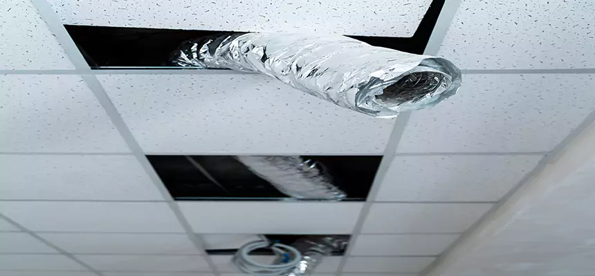 Our Air Duct Pet Hair Removal Services in Princeton, FL