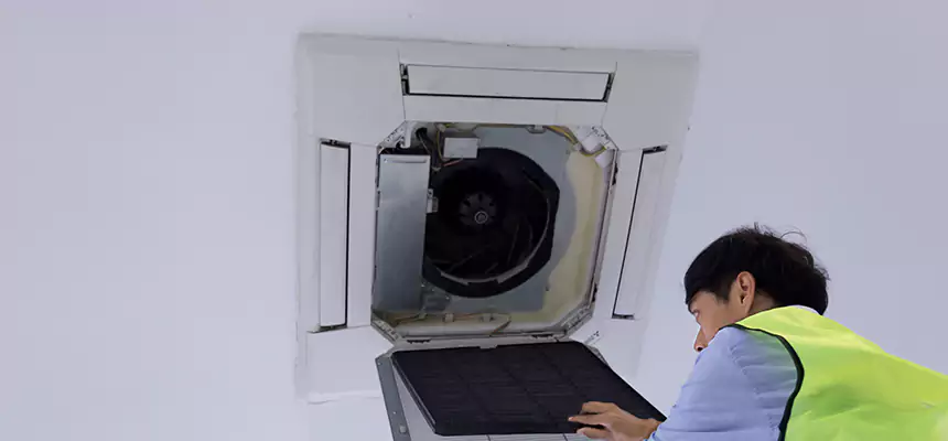 Our Dryer Vent Sanitization Service Services in Princeton, FL
