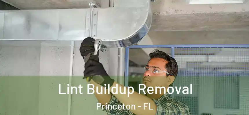 Lint Buildup Removal Princeton - FL
