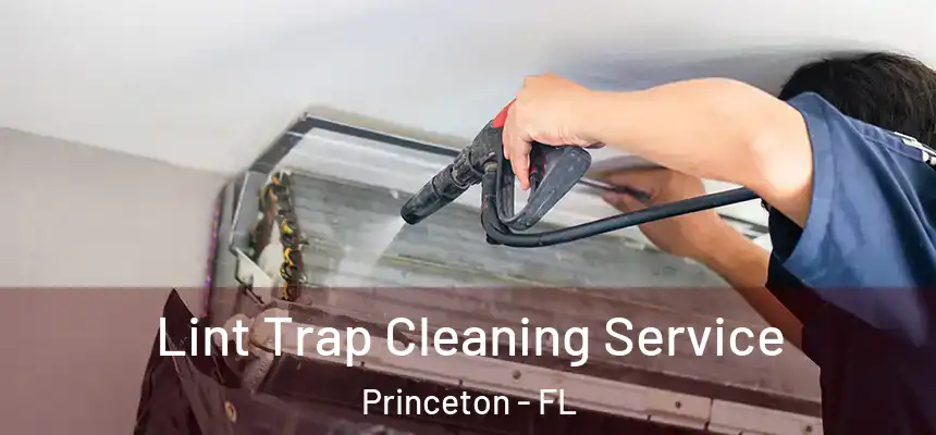  Lint Trap Cleaning Service Princeton - FL