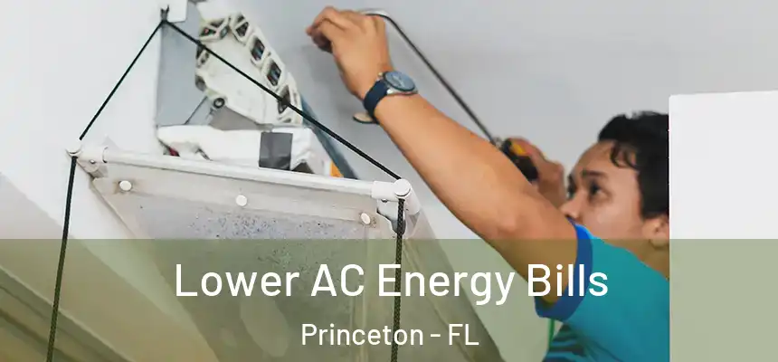  Lower AC Energy Bills Princeton - FL