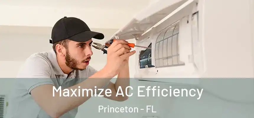  Maximize AC Efficiency Princeton - FL