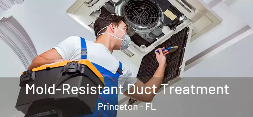  Mold-Resistant Duct Treatment Princeton - FL