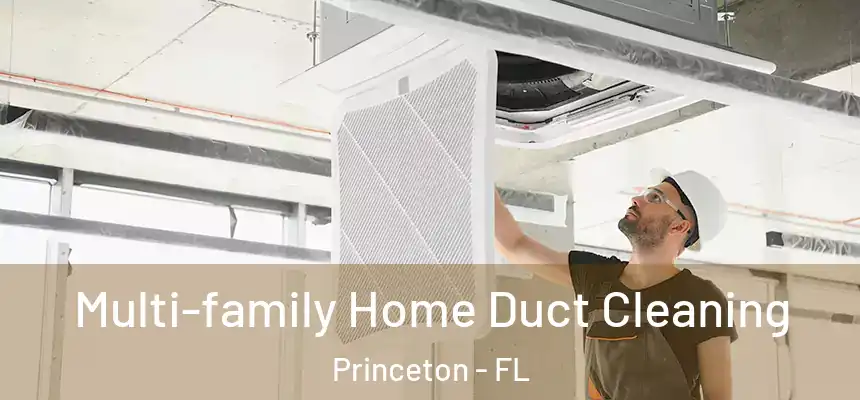  Multi-family Home Duct Cleaning Princeton - FL